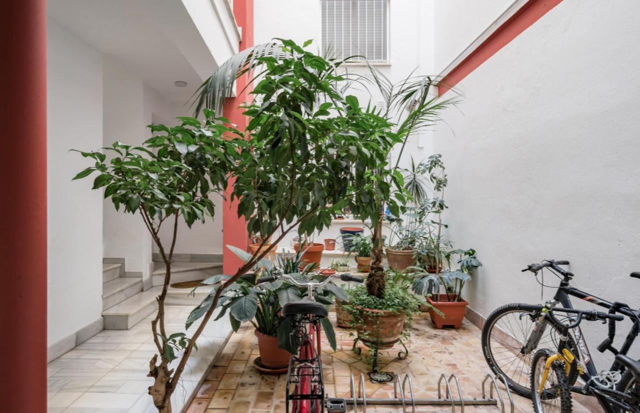 Casa San Martin Sevilla 외부 사진